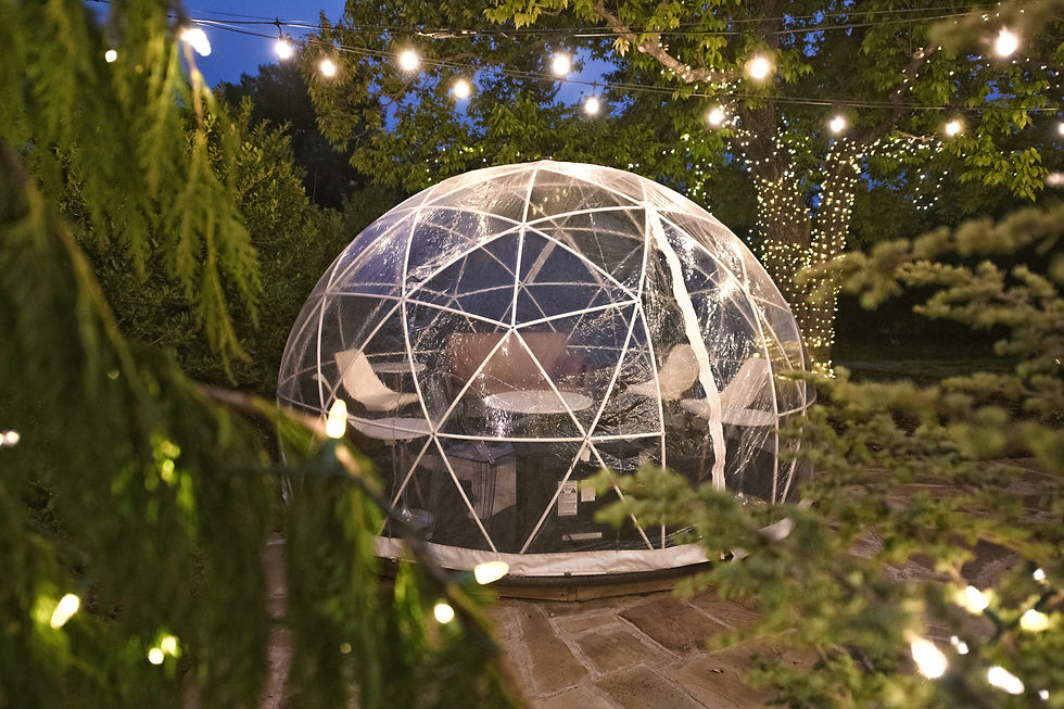 Outdoor Dining Dome