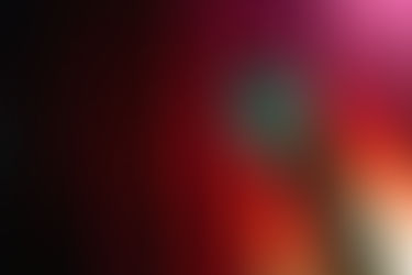 Beacons of Hope: Sprint Project Voices at the DSEP 2025 Conference