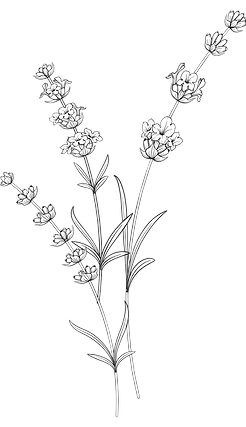 Fotograf Fuerteventura Fotoshooting Fuerteventura Fotografie Fuerteventura Fotografin Düsseldorf Fotoshooting Köln Fotograf E