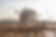Gateway of India