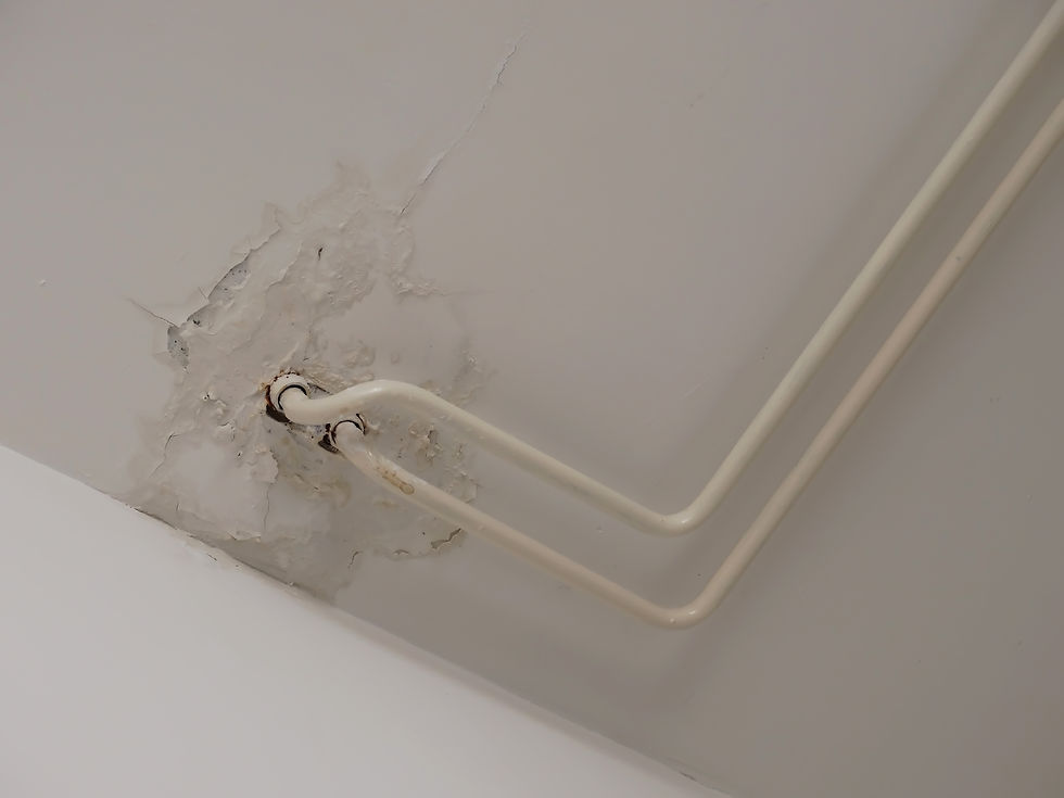 Water damage and peeling paint on a white ceiling around white copper pipe penetrations
