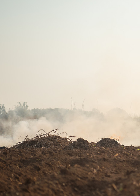 Rural Fire Scene