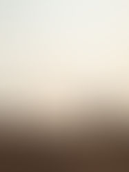 Emergency services update: Fire chief reports fire ban complaints