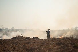 Rural Fire Scene