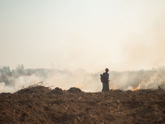 Update on forest fires in Central Newfoundland