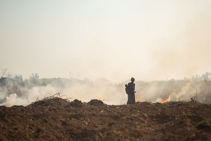 Wildfire