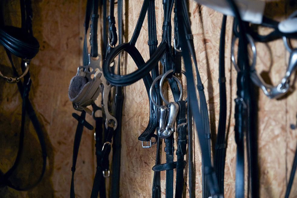 Horse Riding Tack