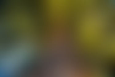 Cultivating Resilient Communities