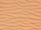 Desert Sand Texture