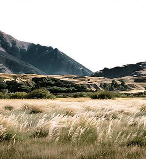 Mountain Field Landscape