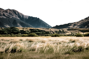 Mountain Field Landscape