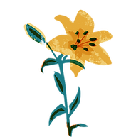 Yellow Flower Illustration