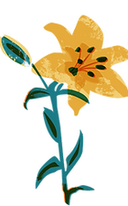 Yellow Flower Illustration