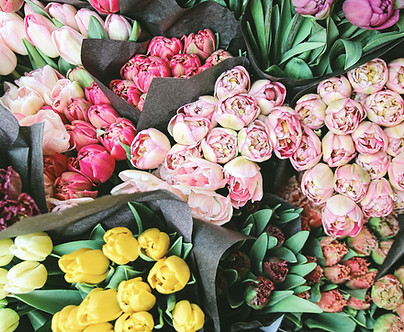 Roses