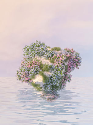 Entry 44: Island