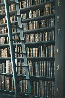 Szene an der Bibliotheksleiter
