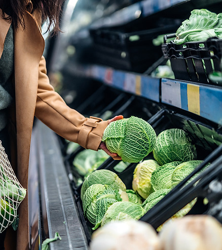Organic Groceries Shopping