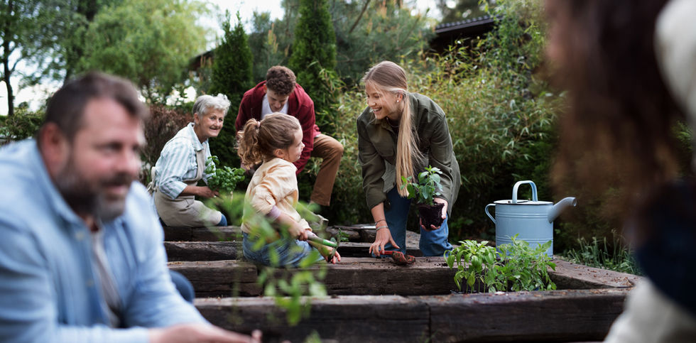 Community Garden  