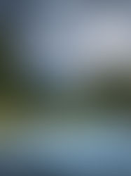 Cuando la naturaleza habla, el cuerpo escucha