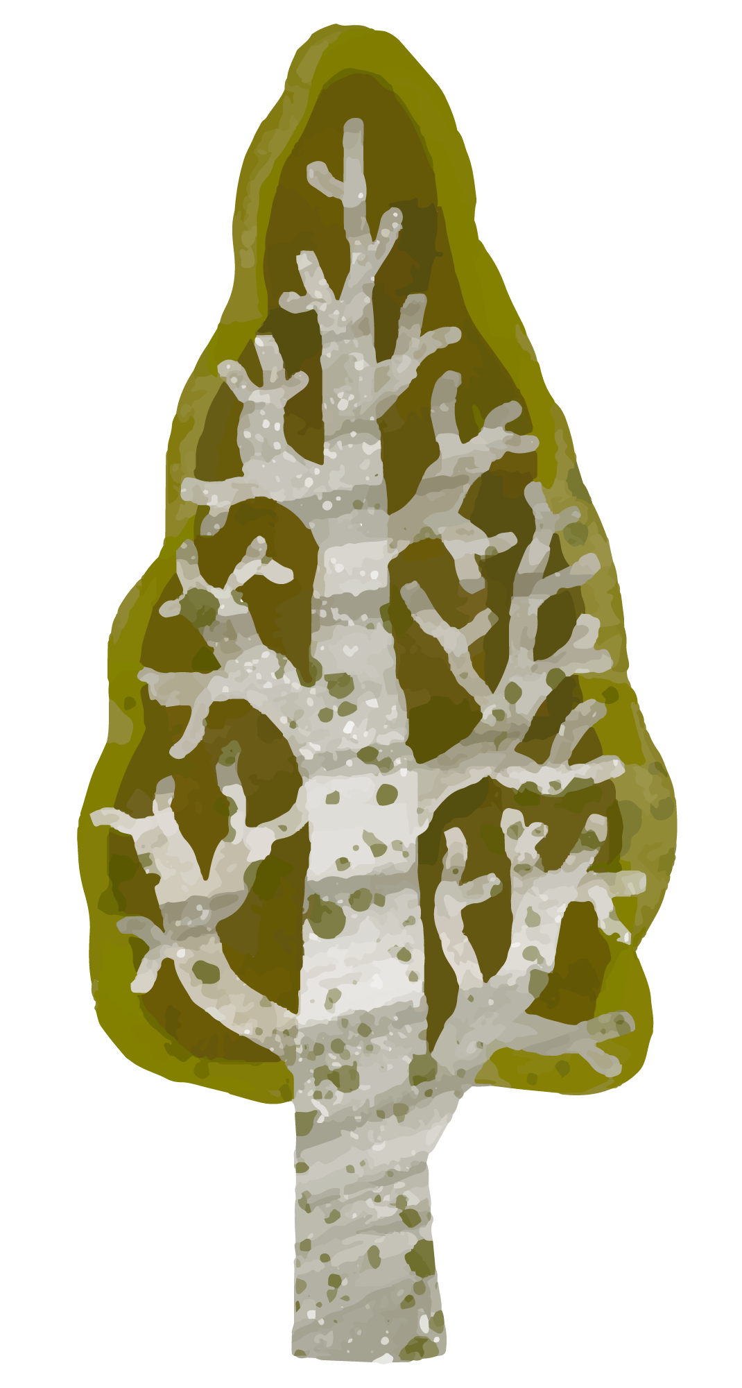 Stylized Tree Illustration