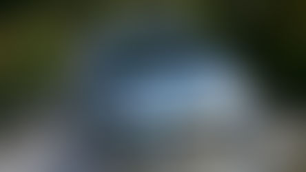 Carte grise : attention aux faux sites administratifs