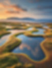 Coastal Tidal Marshland