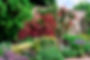 Walled garden