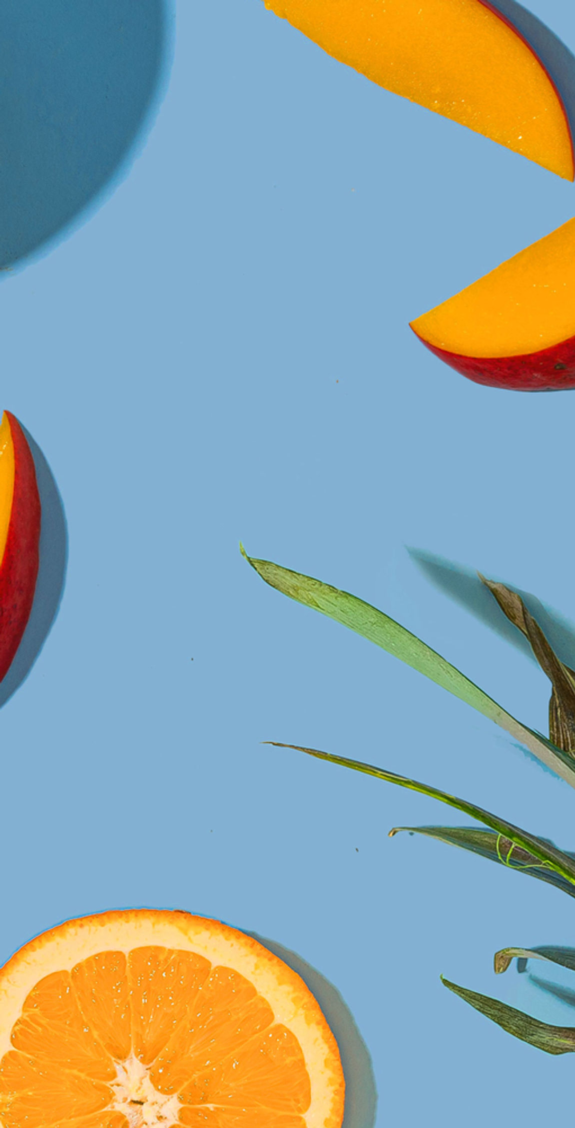 Tropical Fruits