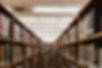 Library Book Shelves