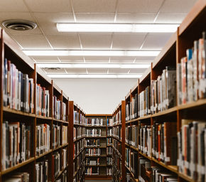 Library Book Shelves