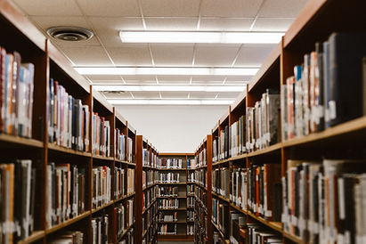 Biblioteca Estantes