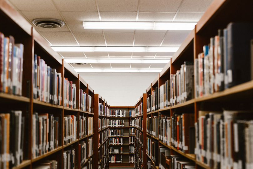 Library Book Shelves