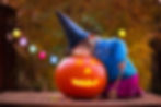 ree