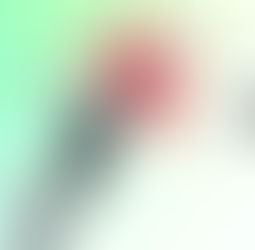 'Lo que no me enseñaron en la escuela de artes'