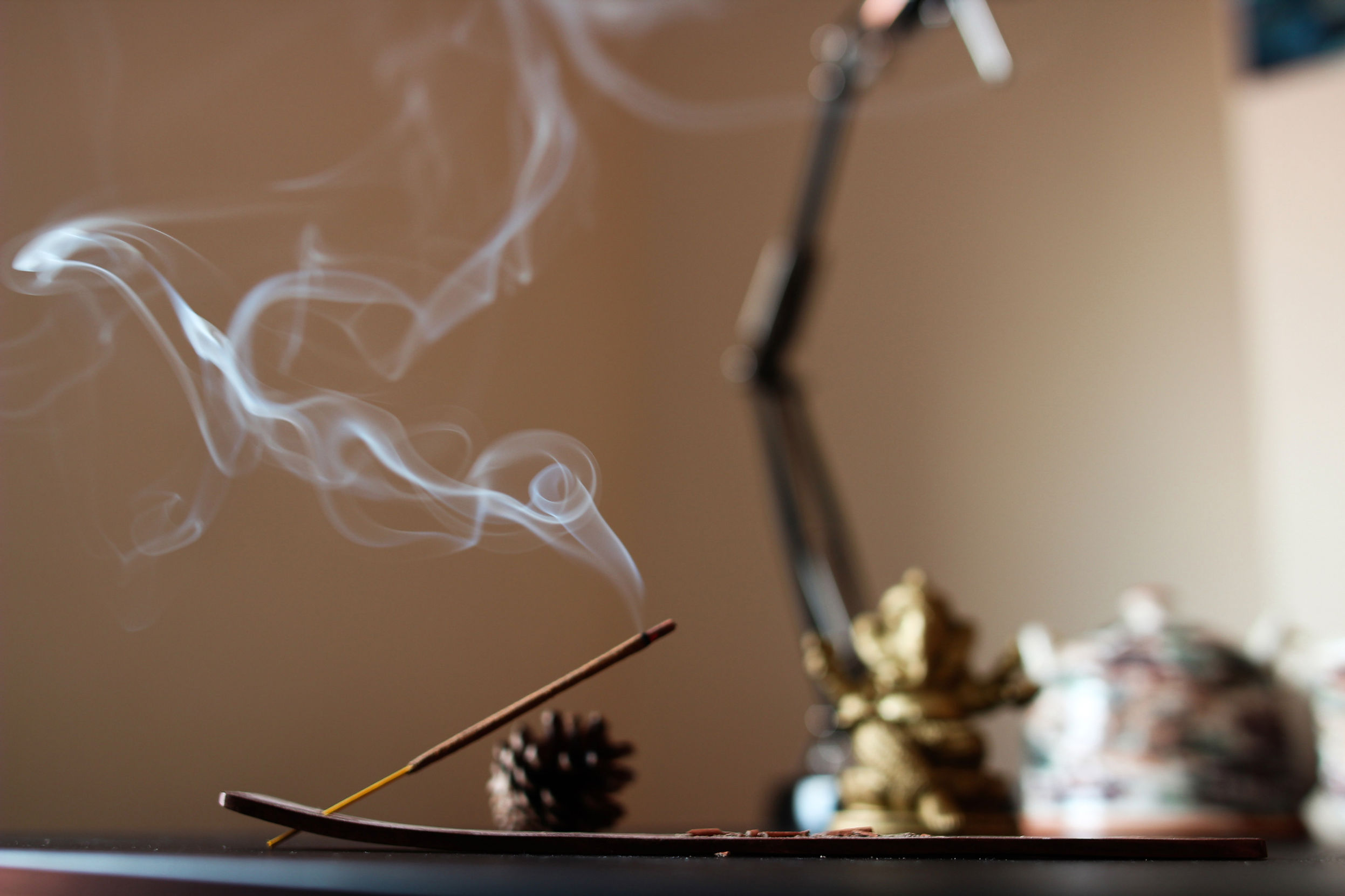 Burning Incense Stick