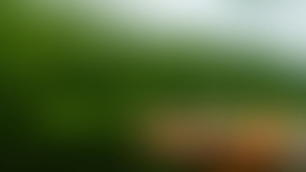 Coping Techniques for When Grief Feels Overwhelming