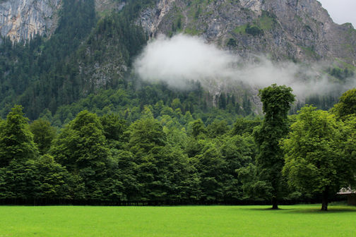 Quotes on Climate action #3