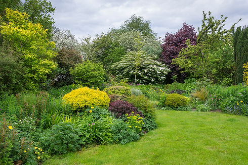 Cottage garden with informal mixed planting of trees, shrubs and herbaceous perennials