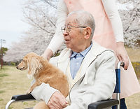 Homem na cadeira de rodas