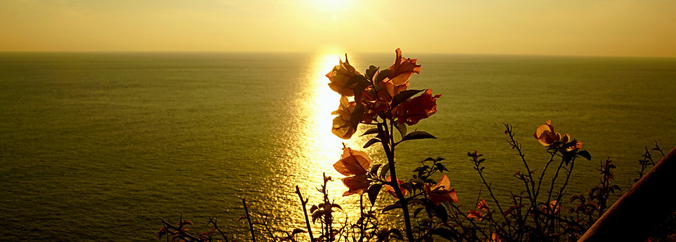 Sunset Flower