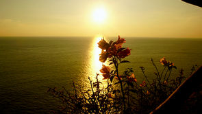 August 2023: Neue Metallicfarben - Vegane Farben sind da! - Geschenkkarten - Mehr Video Inhalte