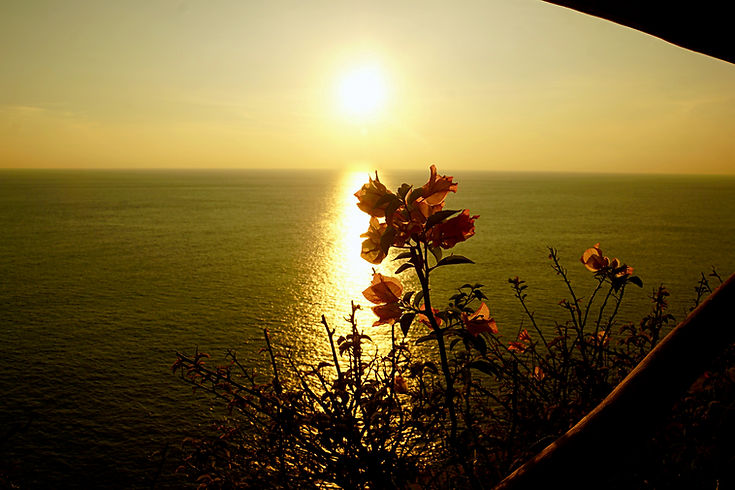 Sunset Flower