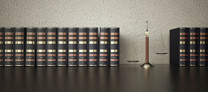 l'absence d'ojectivité, la mauvaise foi