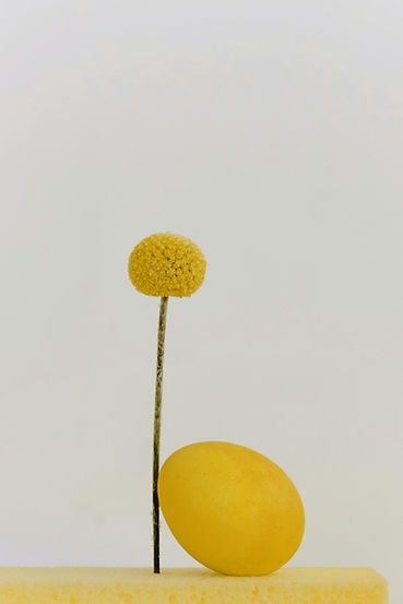 Yellow Flower Still Life