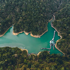Aerial view of a lush green reservoir
