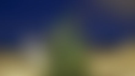 Bons d'achats distribués à Noël : Régime social