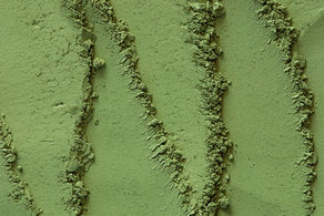 The Power of Supergreens Powder