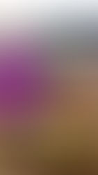 PERDER, SERÁ QUE SEI VIVER?