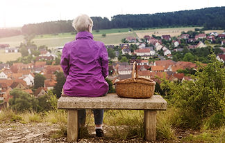 Enjoying the View