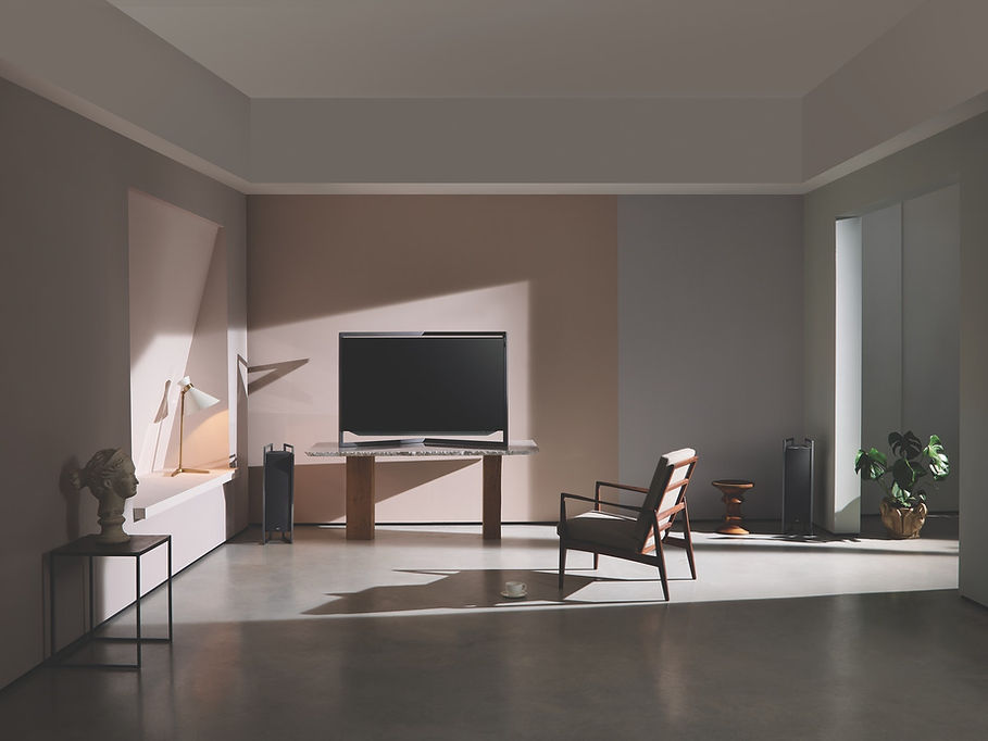Flat Screen Television